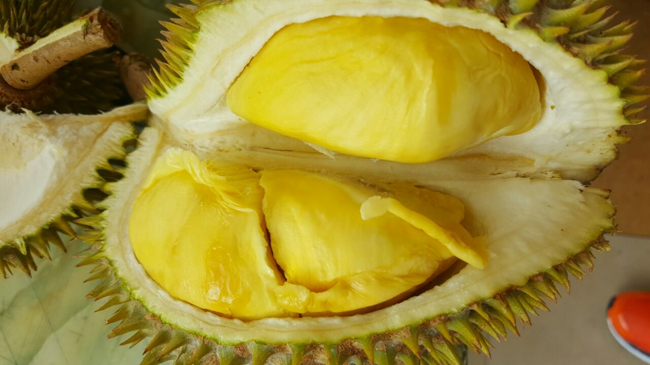 Durian isi kuning