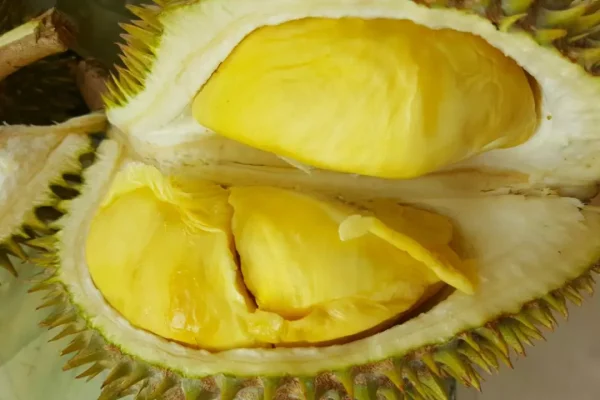 durian-feast-2-67f76018057ad